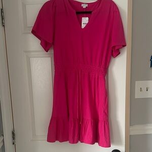 Jcrew Factory Fuchsia Dress NWT